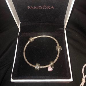 Pandora Moments Snake Chain Bracelet